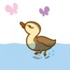 duck2germany